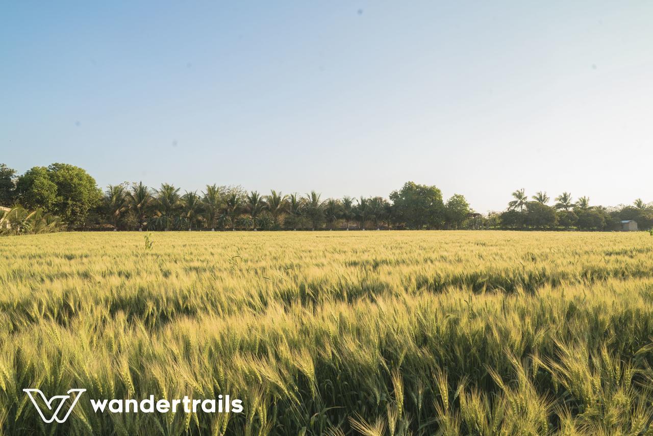 Lookout Villa - A Wandertrails Stay Sasan Gir Exteriör bild